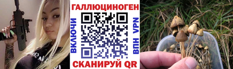 Галлюциногенные грибы ЛСД  площадка Telegram  Кемь 